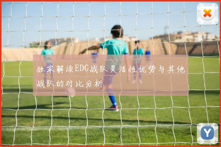 独家解读EDG战队灵活性优势与其他战队的对比分析